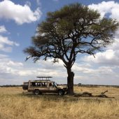  The Serengeti, TZ